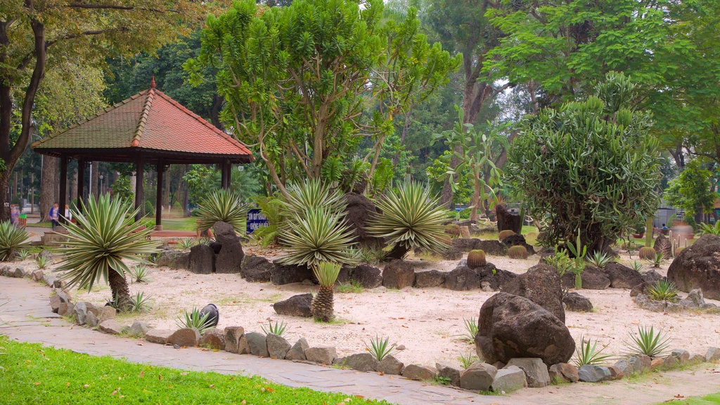 Tao Dan Park showing a garden