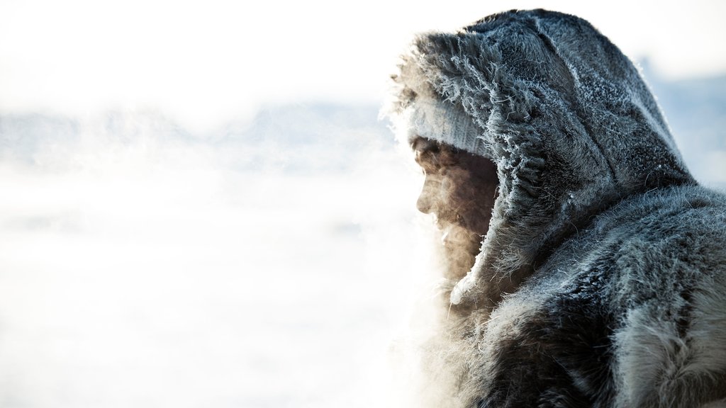 Groenland mettant en vedette neige aussi bien que un homme seul