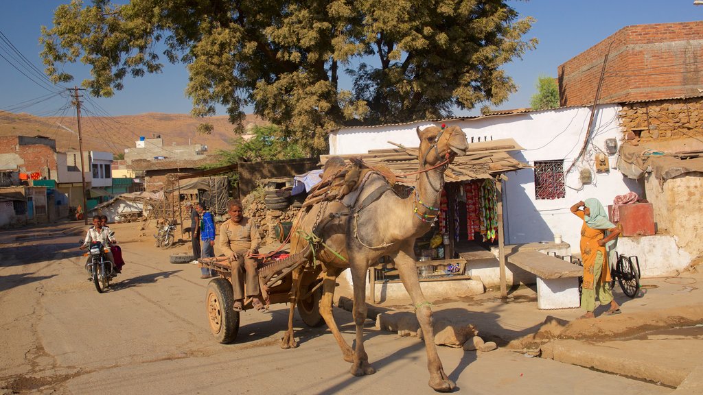 Parque Nacional Ranthambore ofreciendo una pequeña ciudad o pueblo y animales terrestres