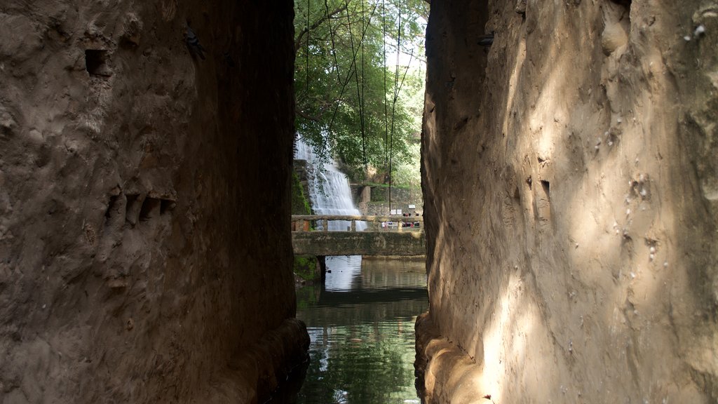 Jardín de Rocas