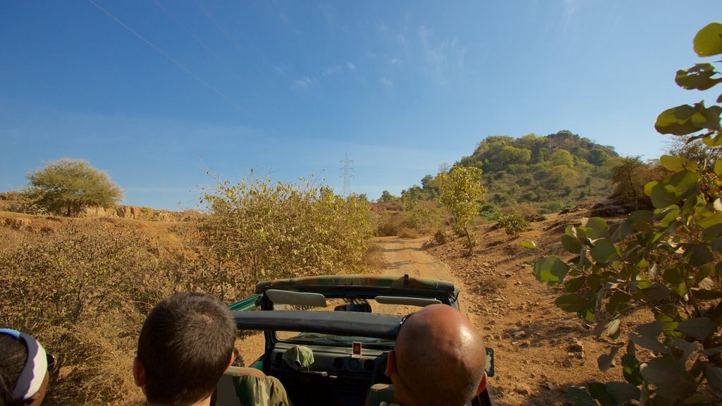 Ranthambore Nationalpark som viser off road-kørsel og udsigt over ørkenen