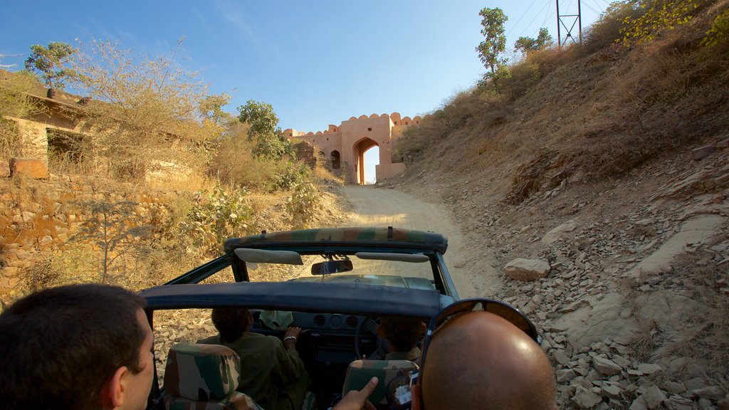 Parque Nacional Ranthambore, Sawai Madhopur, India mostrando escenas tranquilas y aventuras de safari