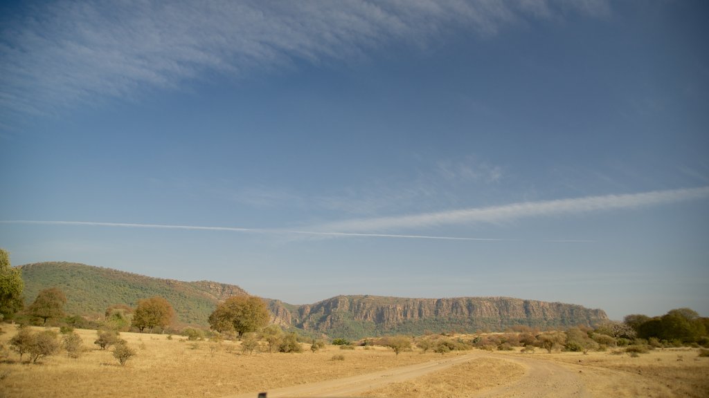 Ranthambore National Park toont vredige uitzichten