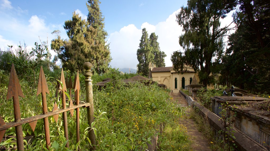 Iglesia de San Esteban mostrando un cementerio y una iglesia o catedral