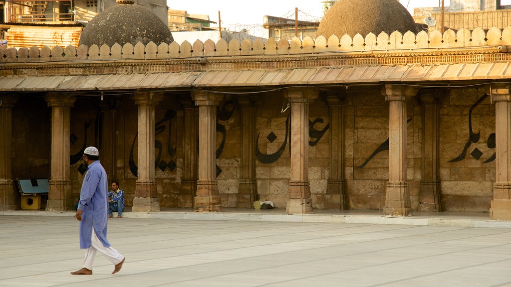 Jama Masjid Mosque showing heritage elements, a mosque and heritage architecture