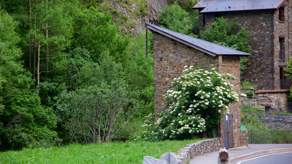 La Cortinada ofreciendo flores y imágenes de bosques