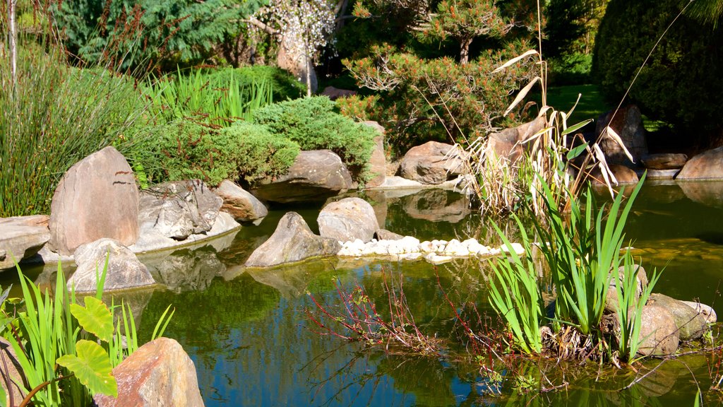 Himeji Gardens showing a pond and a park