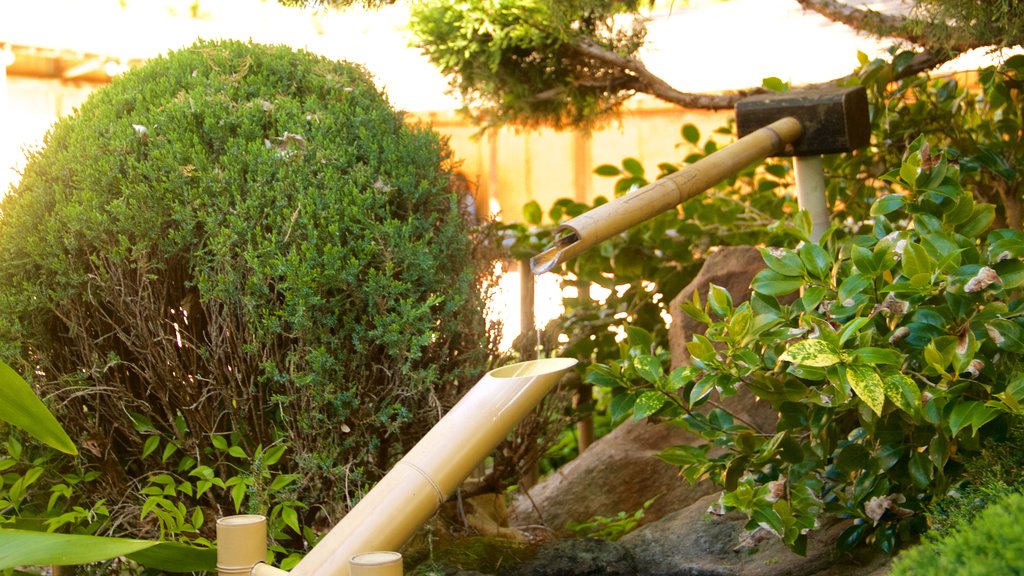 Himeji Gardens featuring a fountain and a park