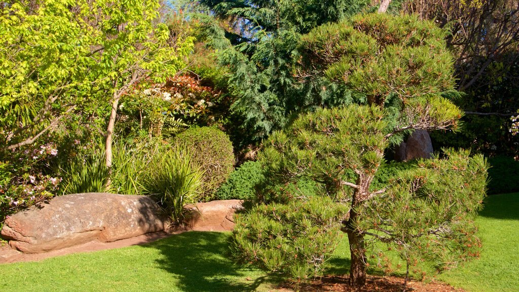 Himeji Gardens showing a garden