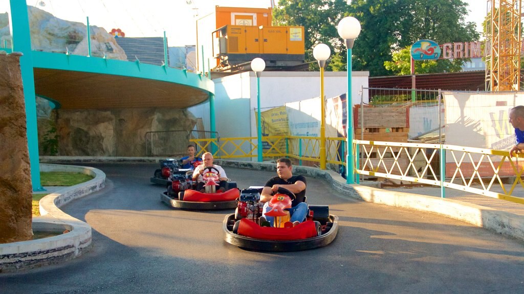 Wiener Prater showing rides as well as a small group of people