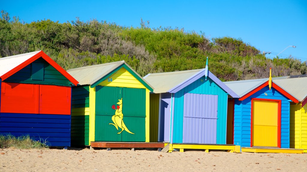 Brighton Beach showing general coastal views, a beach and a house