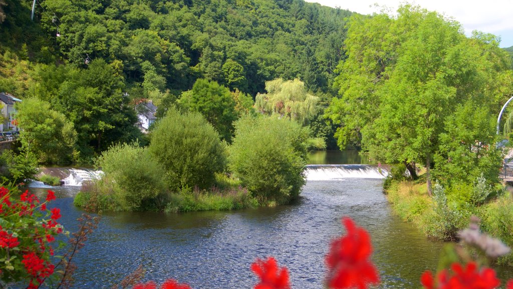 Vianden som omfatter en have og en sø eller et vandhul