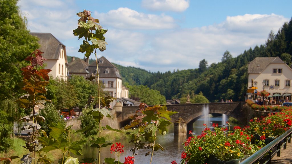 Vianden que incluye una pequeña ciudad o aldea, un puente y escenas tranquilas