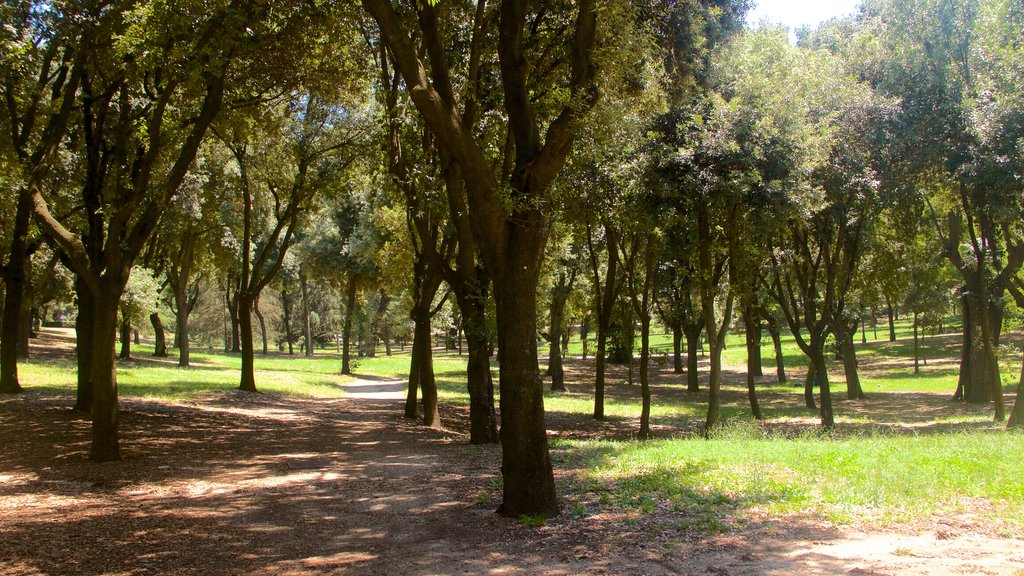 Villa Borghese toont een park