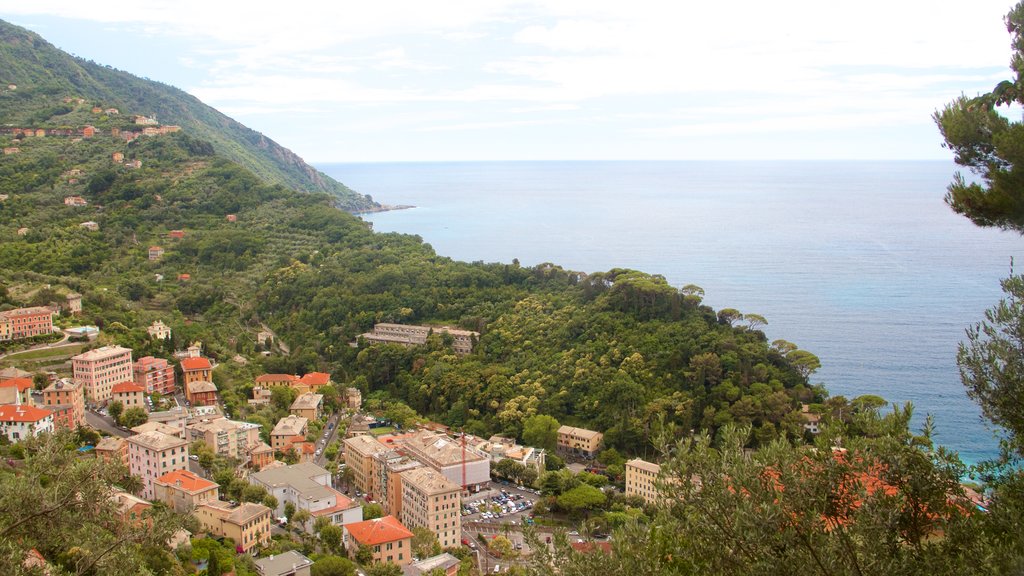 Portofino - Golfo Tigullio ofreciendo vista general a la costa, una pequeña ciudad o aldea y una ciudad costera