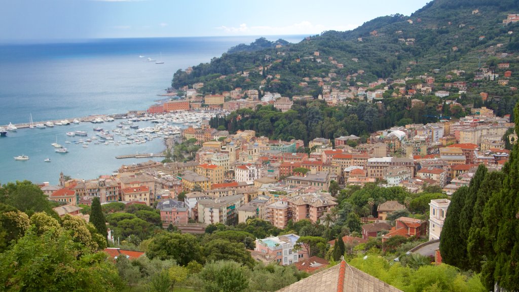 Portofino - Golfo Tigullio mostrando una bahía o un puerto, vista general a la costa y una ciudad