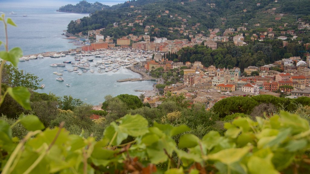 Portofino que inclui paisagens litorâneas, uma cidade litorânea e uma cidade