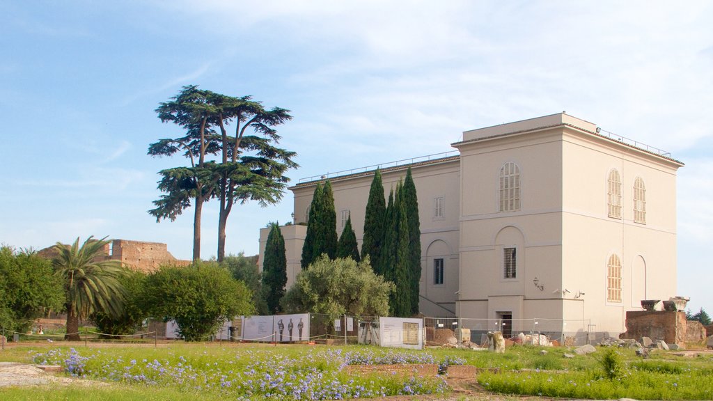 Palatine Hill which includes heritage architecture