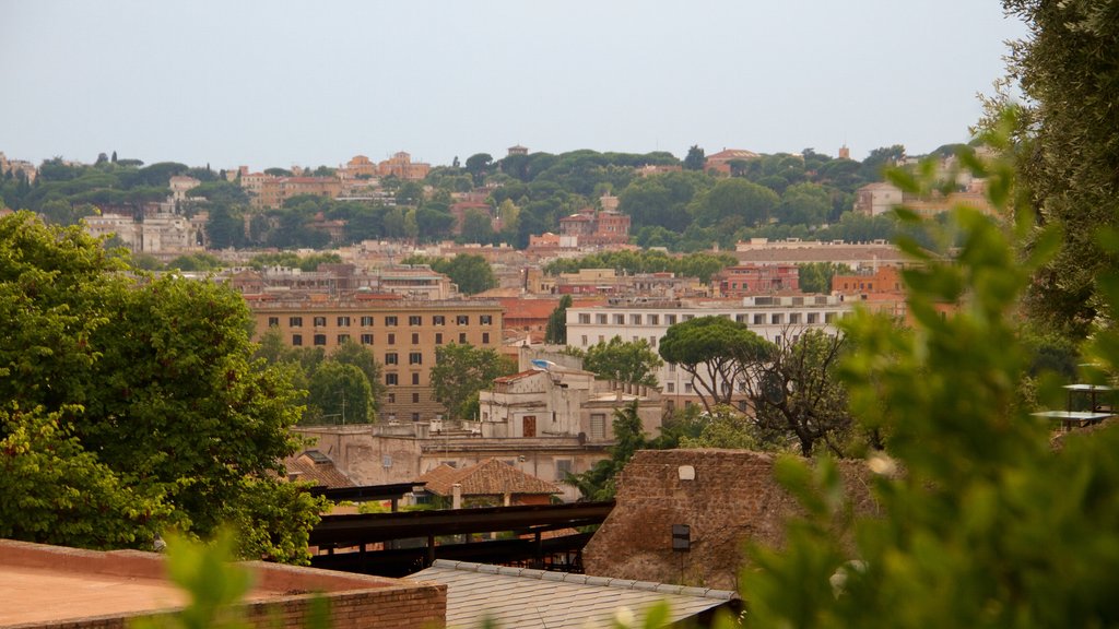 Palatine Hill showing a city