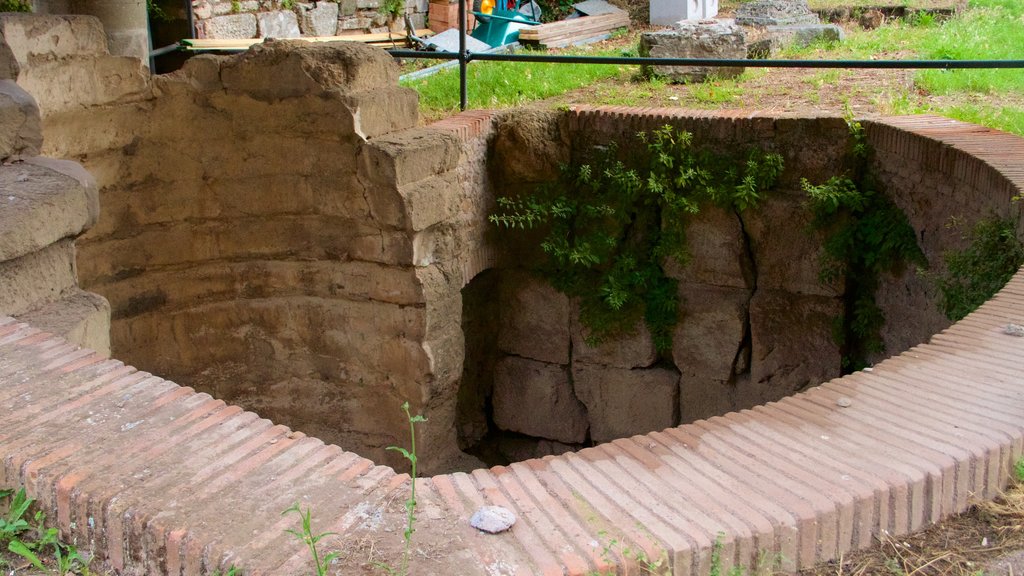 Palatine Hill