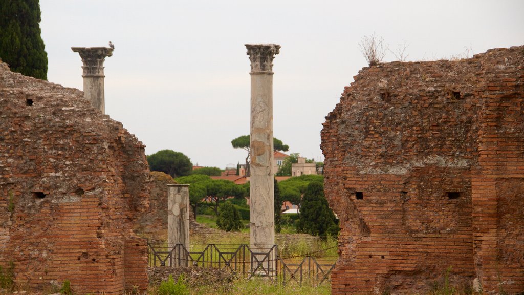 Palatine Hill que inclui ruínas de edifício