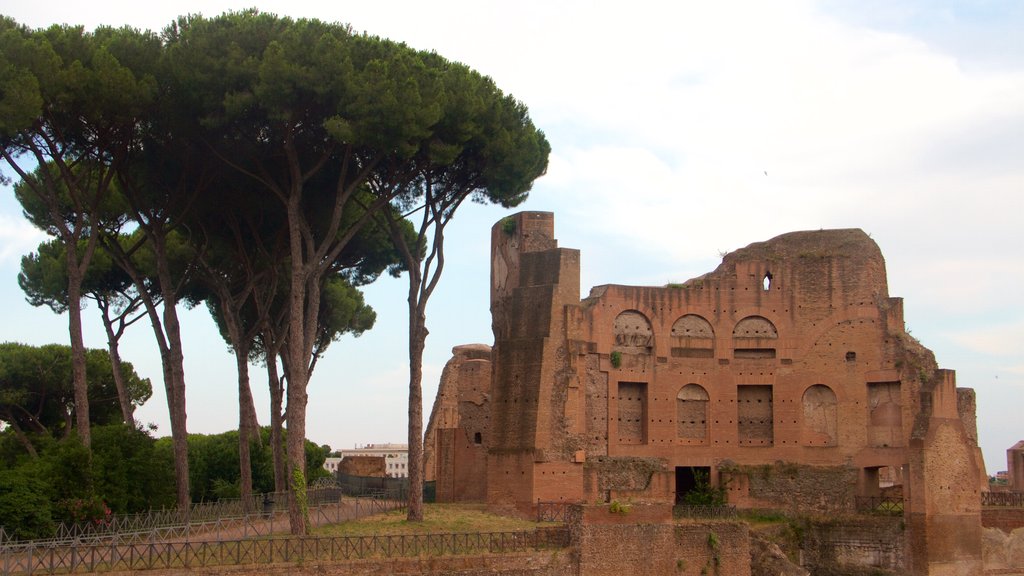 Palatine Hill que inclui ruínas de edifício