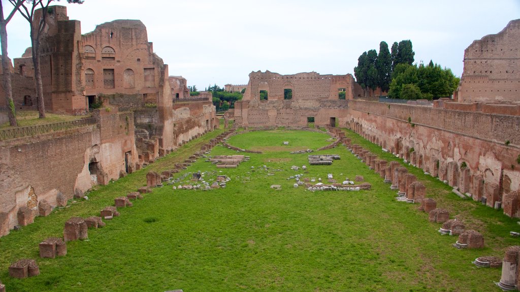 Colina Palatina ofreciendo ruinas de edificios