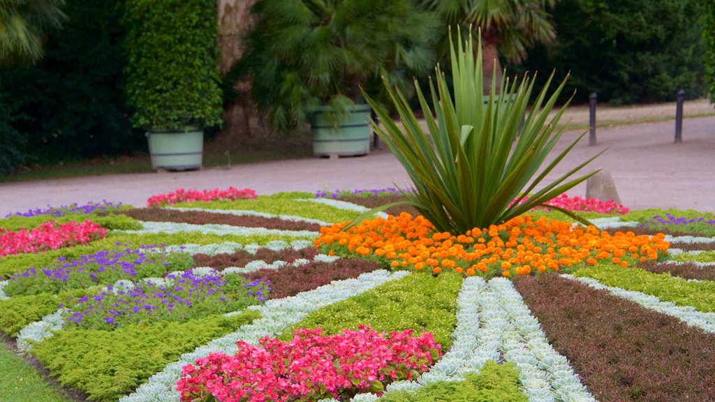 New Garden showing a park and flowers