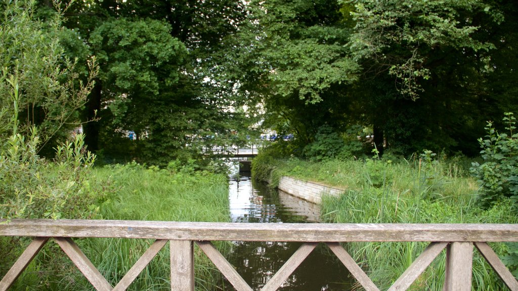 Schloss Charlottenburg inclusief een meer of poel en een park