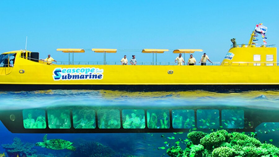 Marsa Alam con bambini: 7 cose da fare in famiglia