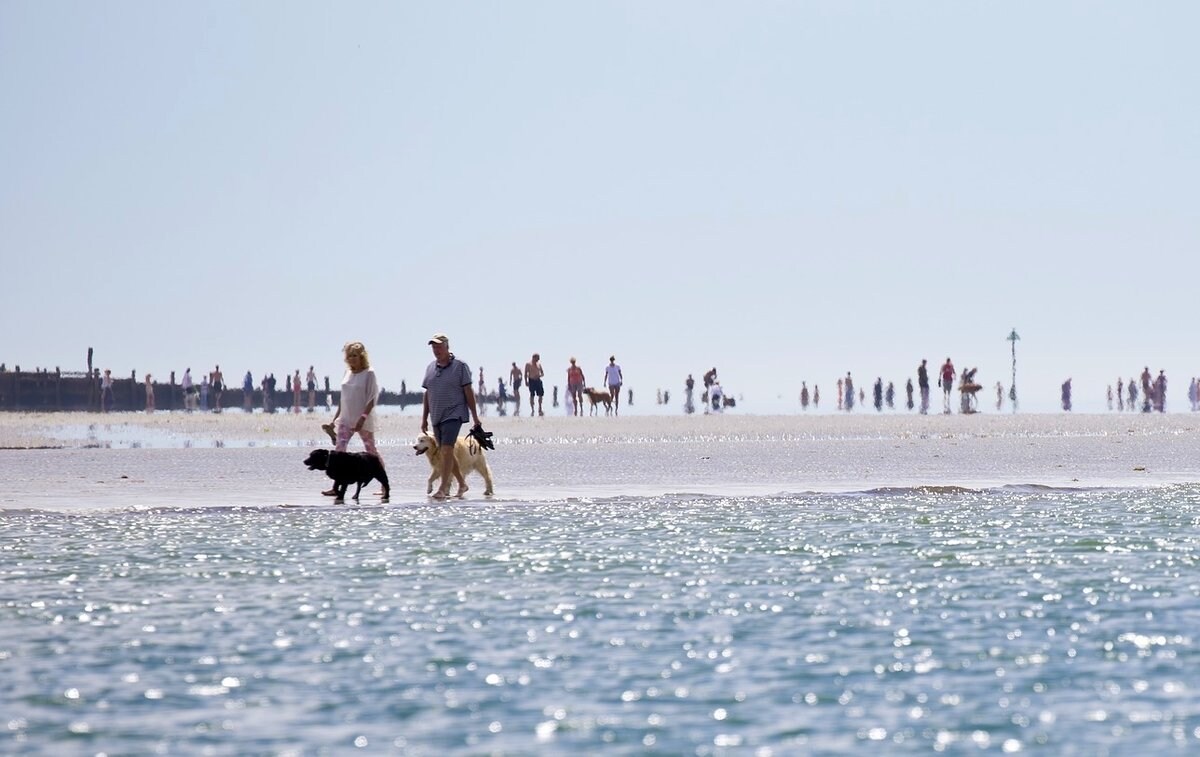 spiaggia per cani pietra ligure