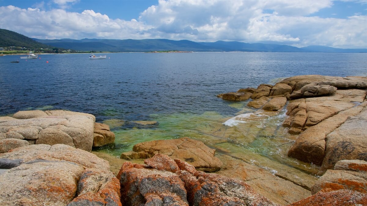 Bicheno Travel Guide Wotif