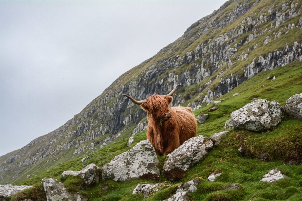 The Best Off the Beaten Track Destinations in Scotland