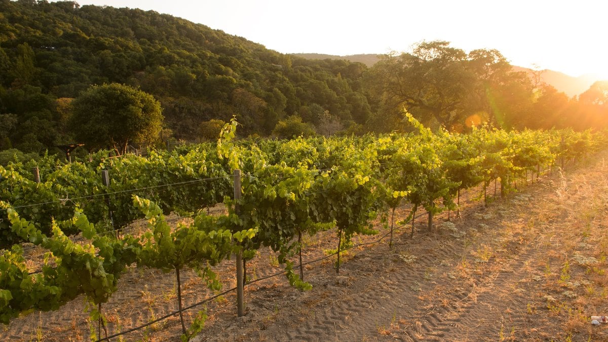 Wine tours and tastings in Monterey | Travelocity