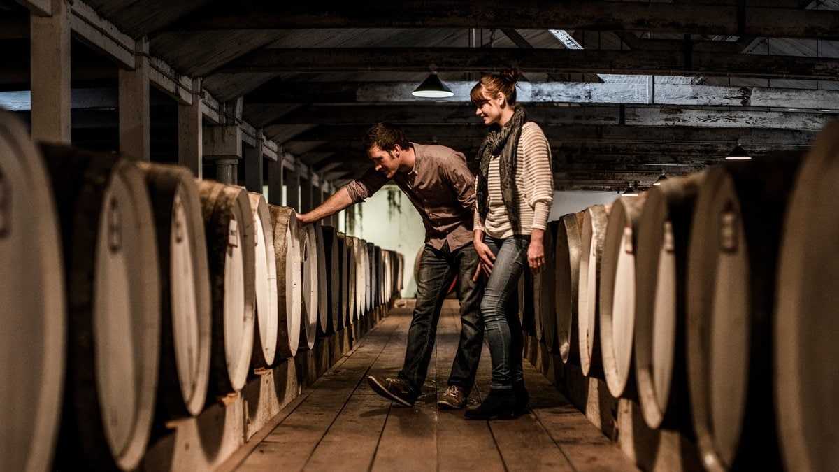 The Best Adelaide Wine Tours | Adelaide Wine Tours & Tasting