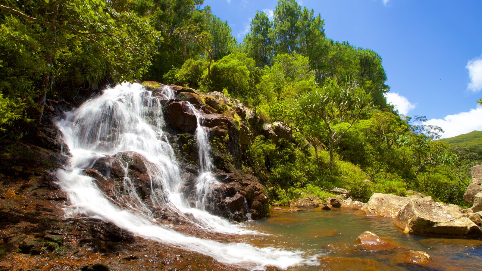 Black River Gorges National Park  112575-Black-River-Gorges-National-Park