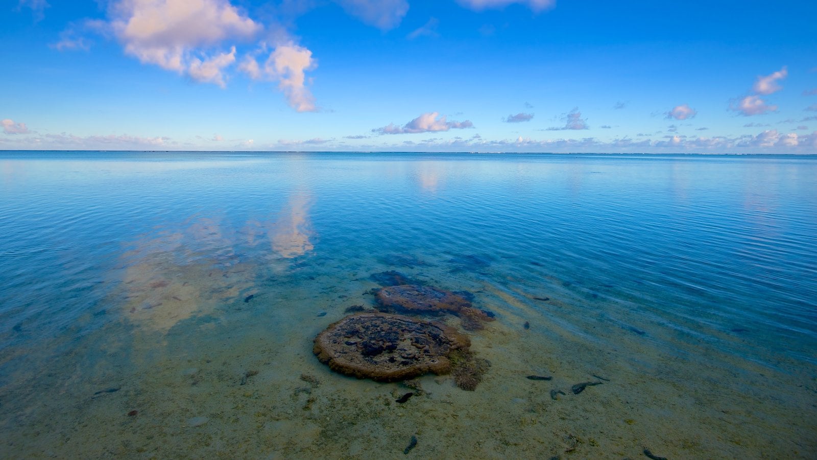 Aitutaki featuring tropical scenes and general coastal views