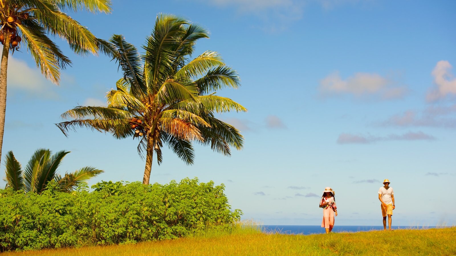 Aitutaki featuring tropical scenes and general coastal views as well as a small group of people