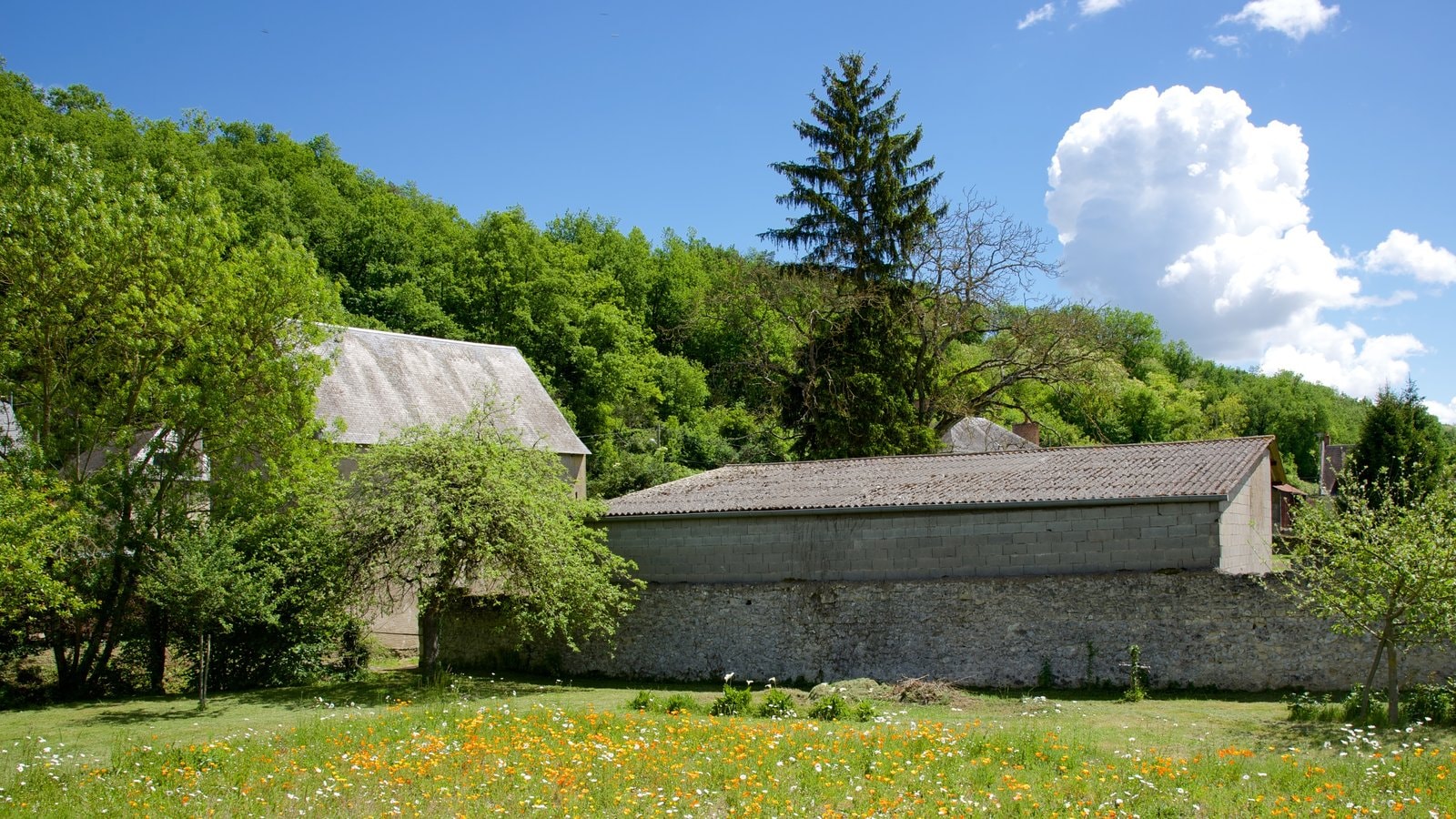 Centre - Loire Valley som visar stillsam natur