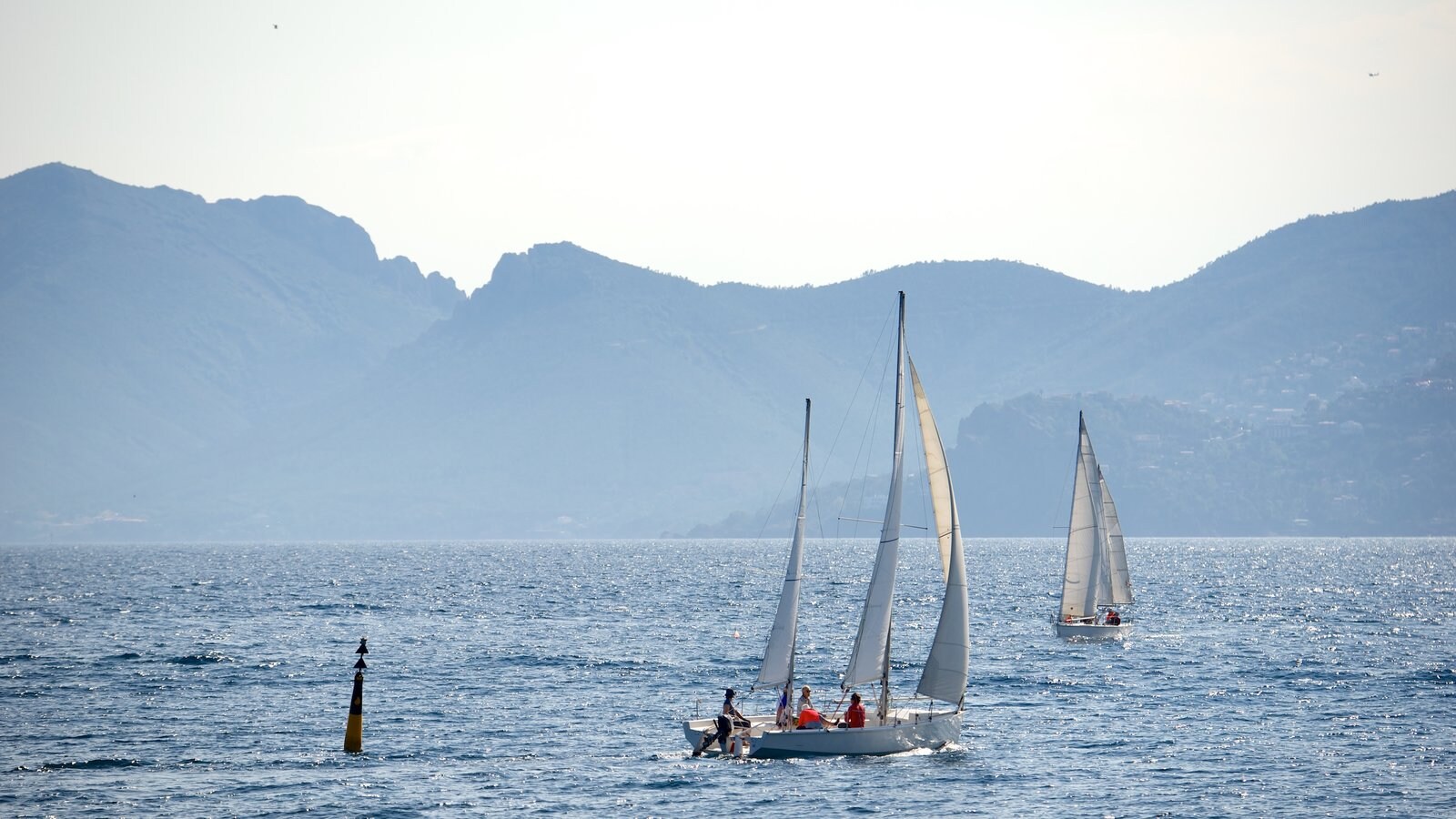 Cannes toont zeilen