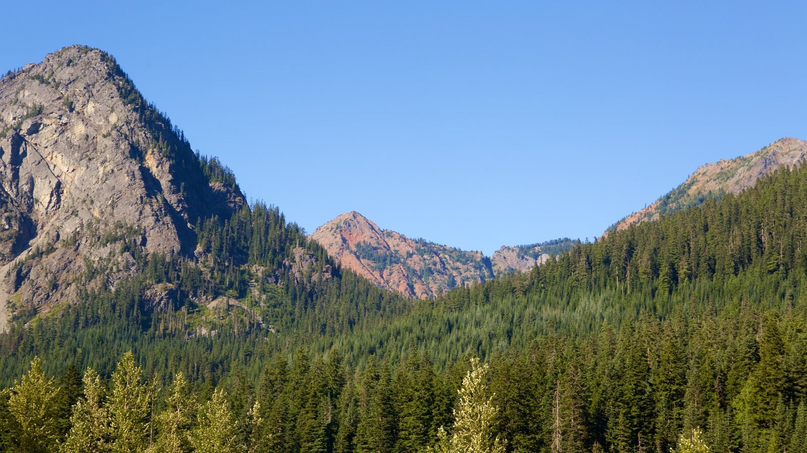 Pictures pass. Snoqualmie Pass.