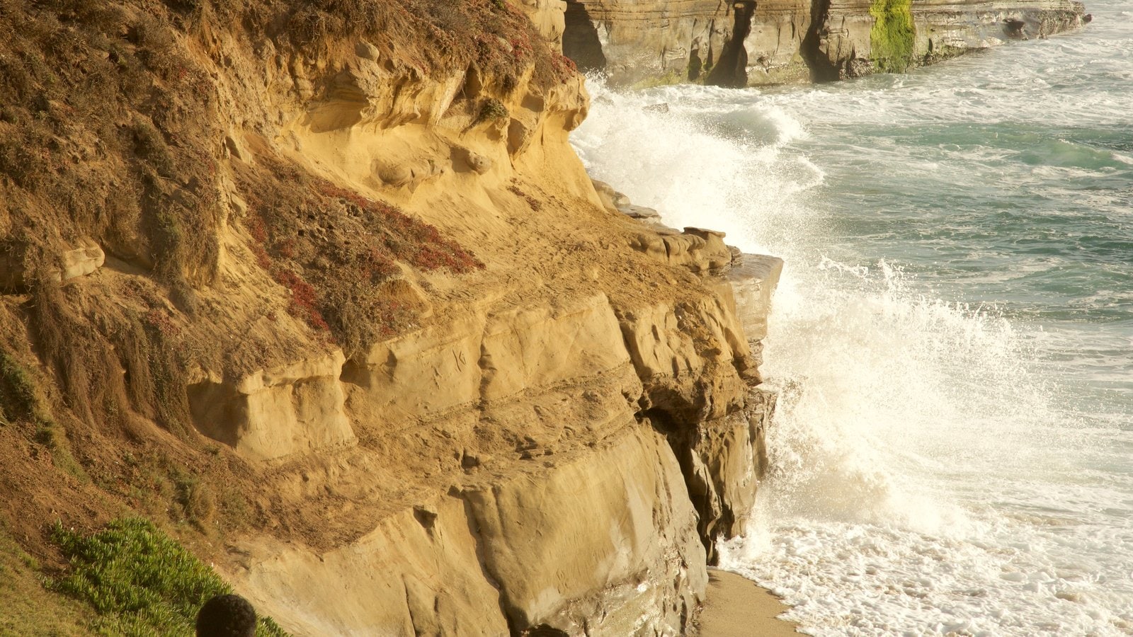La Jolla ofreciendo litoral accidentado