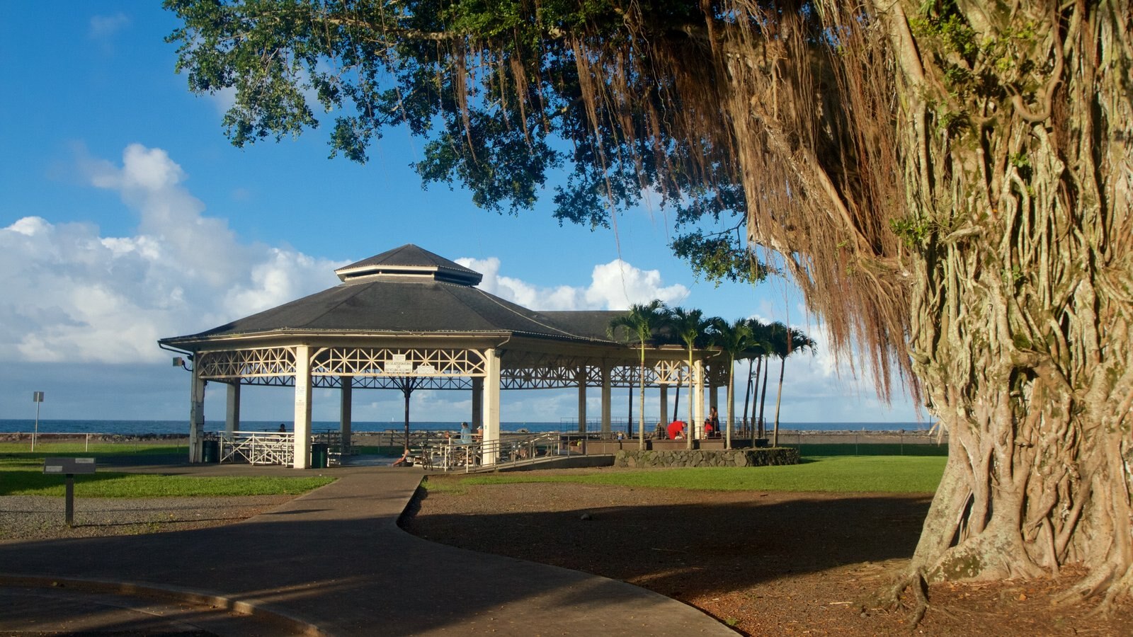 Hawaii featuring a park