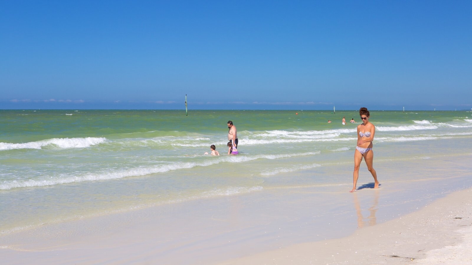 Beach Pictures View Images Of Tampa Bay Tampa Bay Showing A Beach