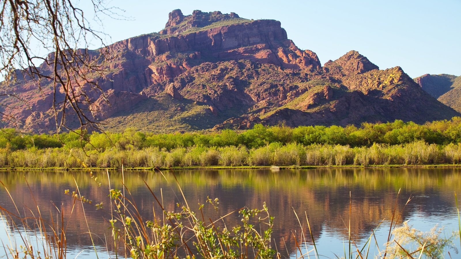 mesa Organic az facial