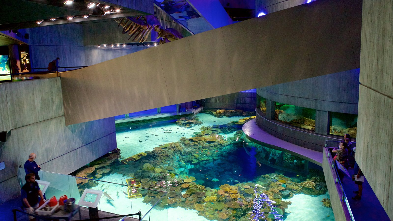 National Aquarium In Baltimore