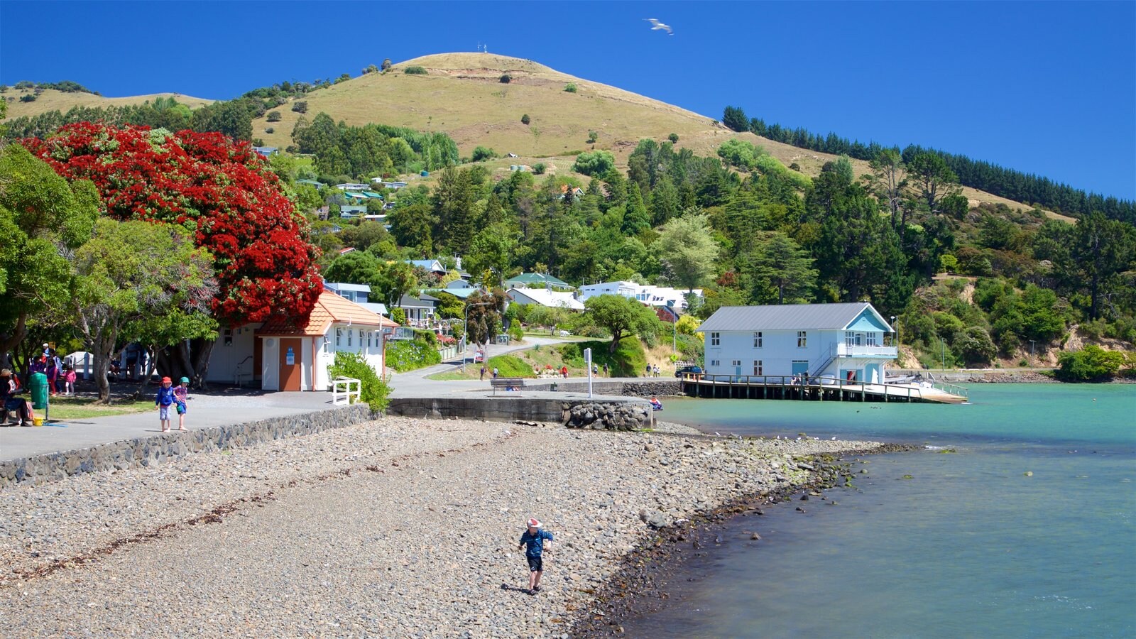Akaroa que incluye vistas de una costa y una localidad costera