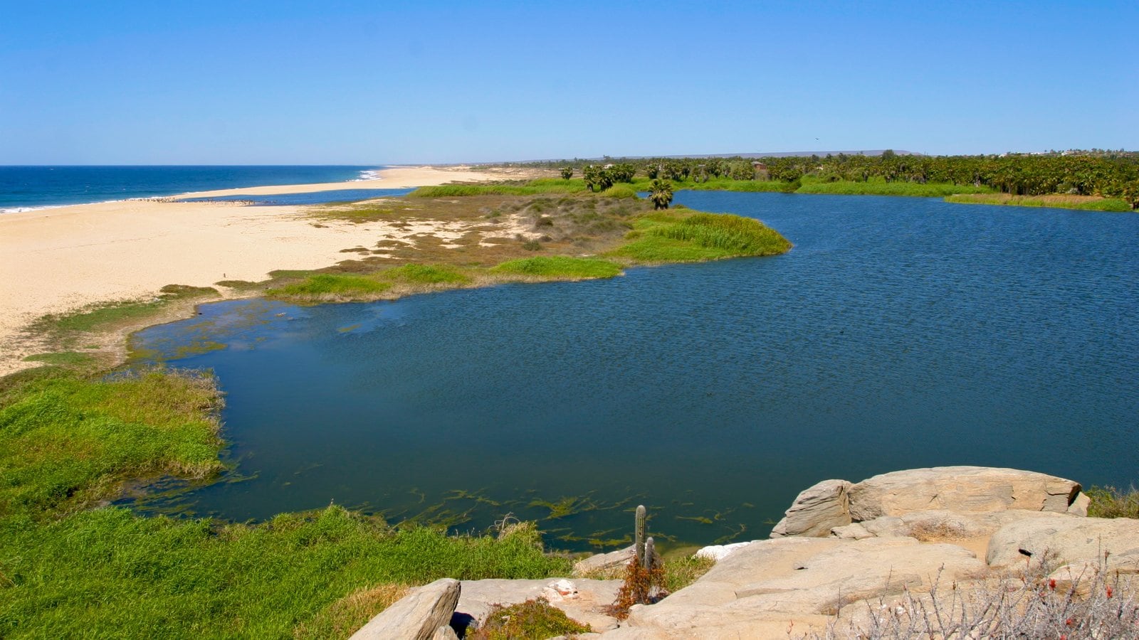 México que incluye una bahía o un puerto, una playa de arena y litoral accidentado