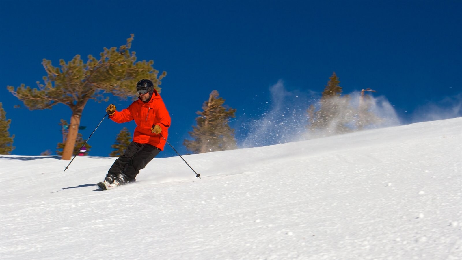 Lake Tahoe bevat sneeuw en skiën en ook een man