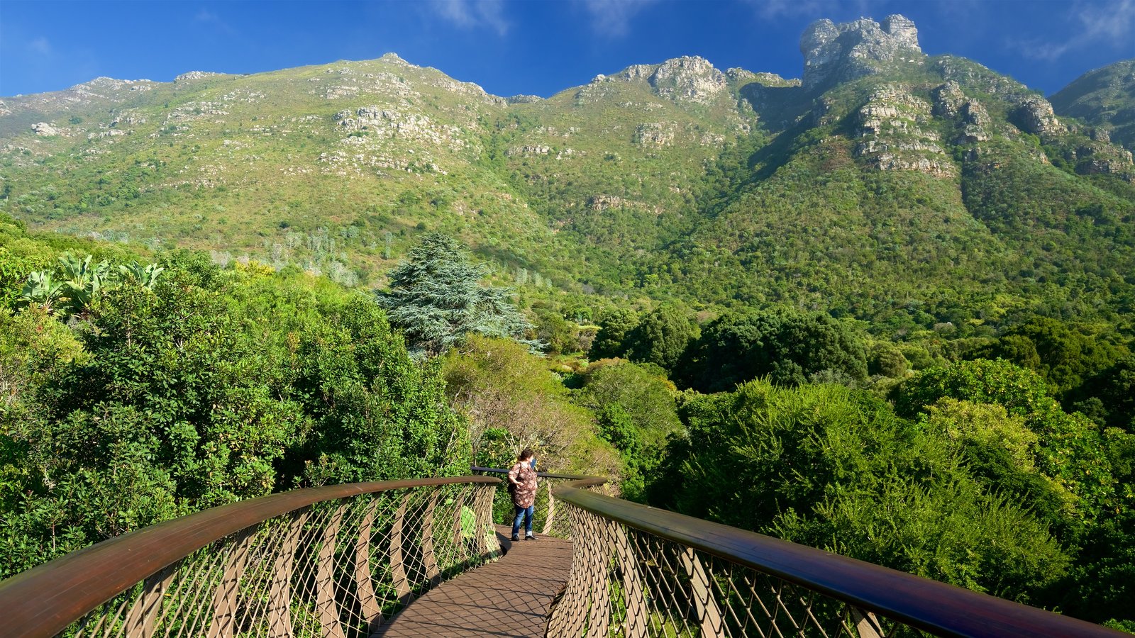 Kirstenbosch National Botanical Gardens Pictures: View Photos & Images ...